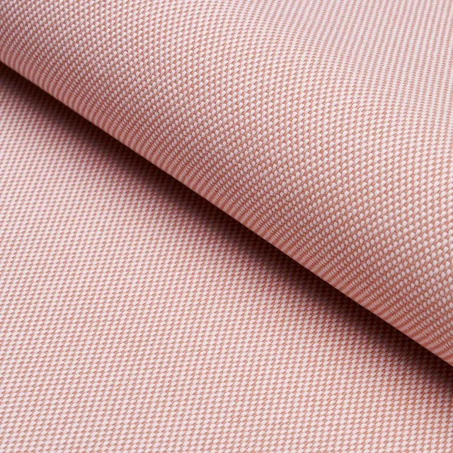 SAMPLE - Schumacher Pippa Indoor/Outdoor Fabric In Petal For Sale