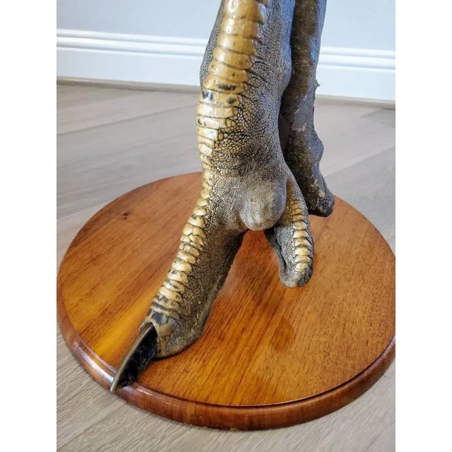 Wood Vintage Ostrich Taxidermy Pedestal Table For Sale - Image 7 of 11