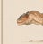 Atelier Aria Lumae Kai Hanna Van Wouden Giganotosaurus Carolinii Original Scientific Watercolor Fine Art Cotton Rag Gallery Board Print 20 X 16 For Sale In San Antonio - Image 6 of 15
