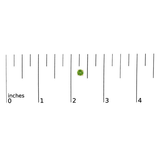 Early 21st Century 14K Yellow Gold 5X5MM Round Green Peridot Solitaire Stud Earrings For Sale - Image 5 of 5