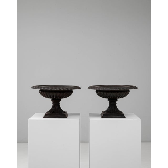 1900s French Cast Iron Tazza Urn Planters - A Pair For Sale - Image 10 of 18
