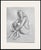 Original Life Drawing, Female Figure News For Sale - Image 4 of 4