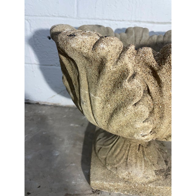 Early 19th c concrete English Neoclassical Style Garden Urn with large leaf reliefs rescued from a home in Atlanta Georgia.
