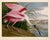 Audubon Roseate Spoonbill Giclee Print For Sale