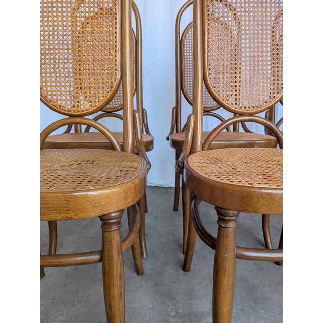 Mid-Century Bentwood Cane Dining Chair, Yugoslavia, 1970s, Set of 6 For Sale - Image 9 of 18