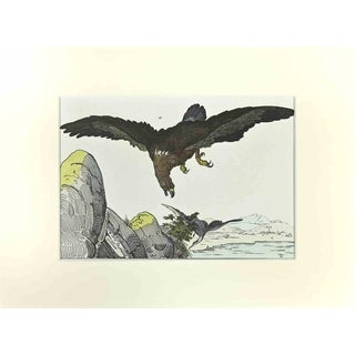 Johann Friedrich Naumann, Eagle, Etching, 1840 For Sale