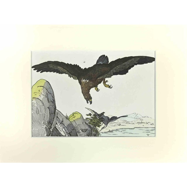 Johann Friedrich Naumann, Eagle, Etching, 1840 For Sale