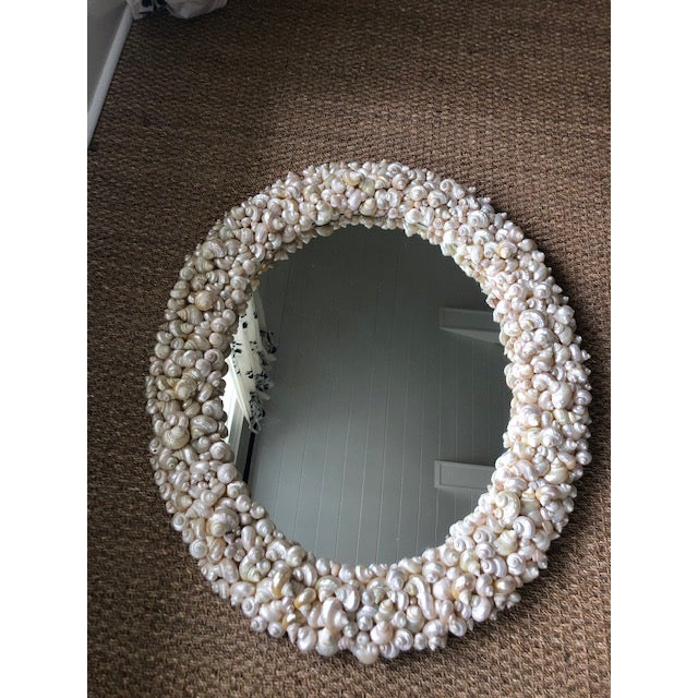 Beautiful coastal mirror custom made to replicate Oly Studio Atlantis mirror (no longer available). The shells are...