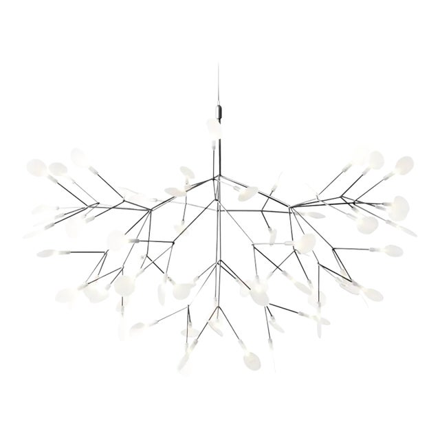 Moooi Heracleum Large Suspended Light For Sale