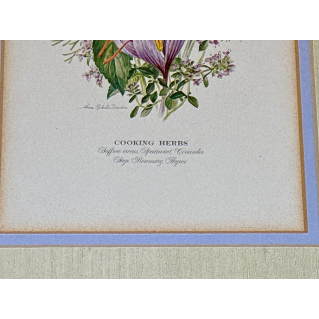 Late 20th Century Vintage Botanical Print by Anne Ophelia Dowden For Sale - Image 5 of 10