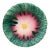 French Majolica Daisy Plate Orchies, Circa 1890 For Sale