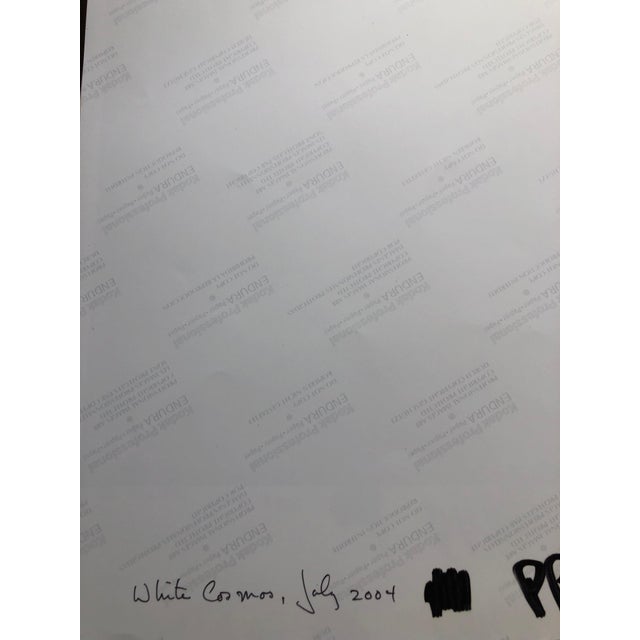 American Peter C. Jones 1, White Cosmo, Cocktail, Large Format Photo 24X20 Color Photograph Beach House, 2004 For Sale - Image 3 of 6