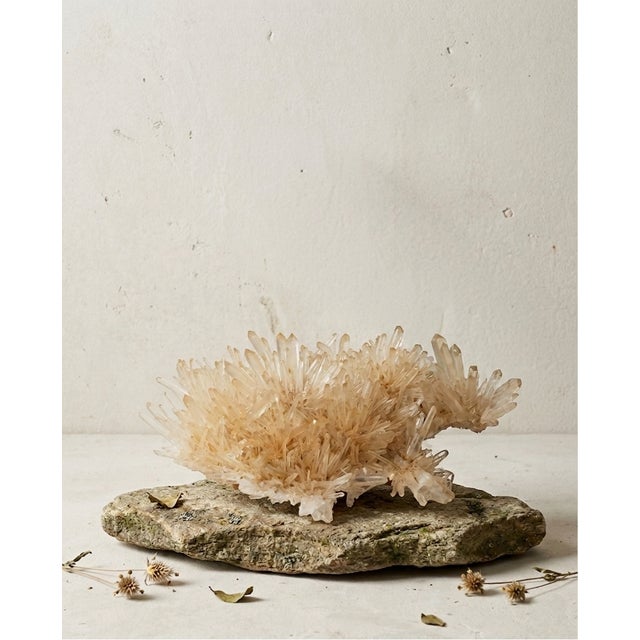 Contemporary Golden Healer Quartz Specimen by Stillmantle For Sale - Image 3 of 3