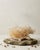 Contemporary Golden Healer Quartz Specimen by Stillmantle For Sale - Image 3 of 3
