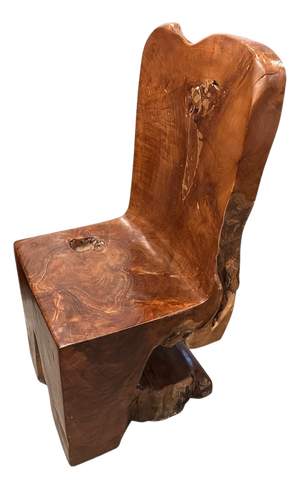 Andrianna Shamaris Sculptural Teak Wood Chair
