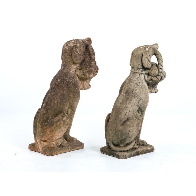 1960s Matched Pair of Composite Stone Dogs With Fruit Baskets, England Mid 20th C. For Sale - Image 5 of 13