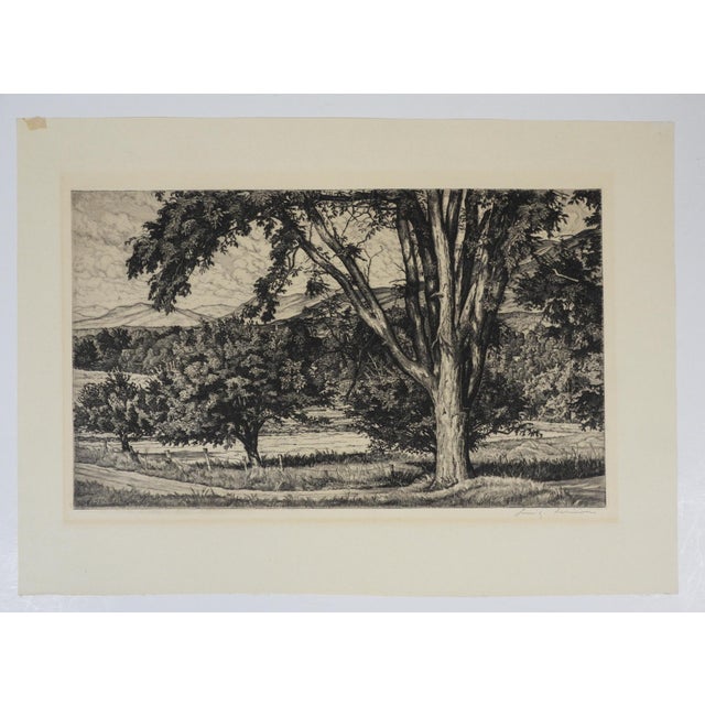 1944 Luigi Lucioni Beyond the Elm Landscape Etching For Sale - Image 4 of 4