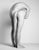 Archival Giclée Print from Polaroid 55 negative Epson ultra chrome ink on Hahnemühle Photo Rag Edition of 10 Signed and...