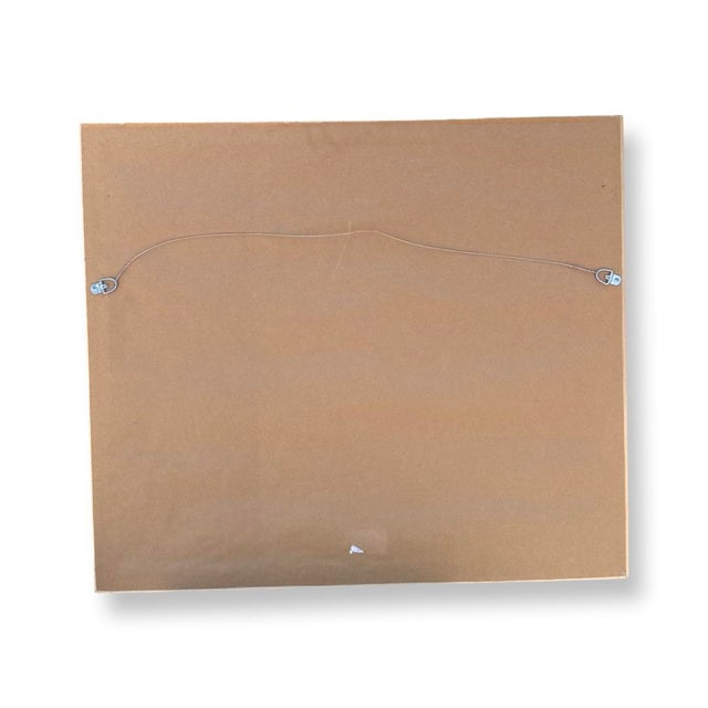 French Vintage French Shells Print on Paper With Frame and Glass. For Sale - Image 3 of 7