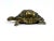 Vintage Brass Turtle Figurine from Dinant, 1960s, in Very Good conditions. Designed 1920 to 1949 This piece has an...