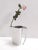 Postmodern Silver-Plated Brass Jug Kanye by Lino Sabattini, Italy, 1970s For Sale - Image 3 of 13
