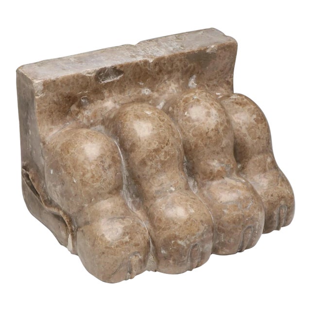 Antique 19th Century Italian Grand Tour Carved Marble Lion Paw For Sale