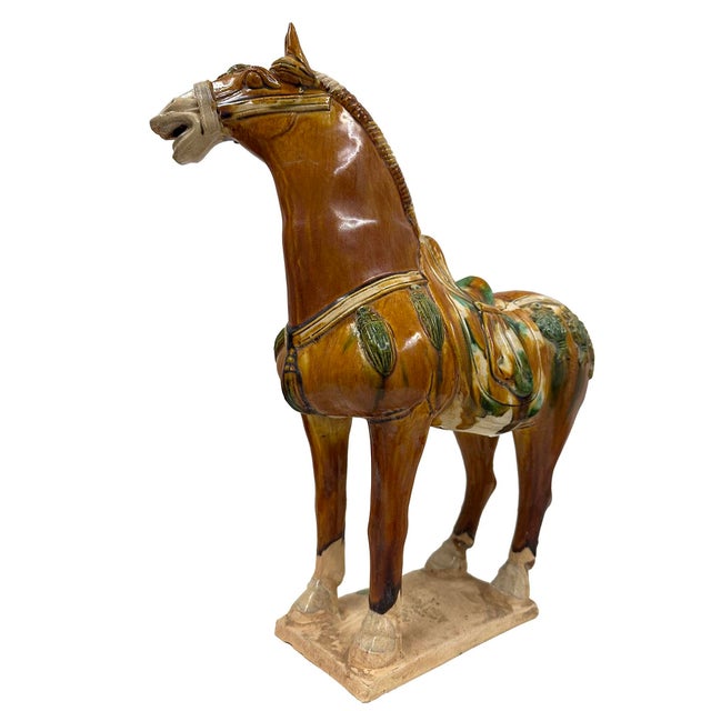 Mid-20th Century Chinese Ceramic Tang SanCai (Tri Color)Horse For Sale In Los Angeles - Image 6 of 15