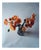 Ugne Pouwell, Orange Poppies No.3, 2024, Photography For Sale