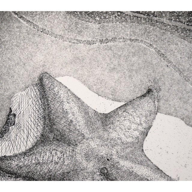 Starfish Etching in Ink on Paper (#8/16) by J Brown For Sale In Monterey, CA - Image 6 of 10