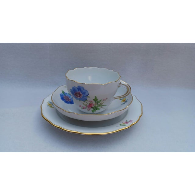 20th-Century Meissen Porcelain Coffee & Tea Trio Set with Hand-Painted Blue Anemone This exquisite porcelain coffee and...