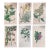 Set of Six 19th Century English Hand-Colored Botanical Engravings For Sale