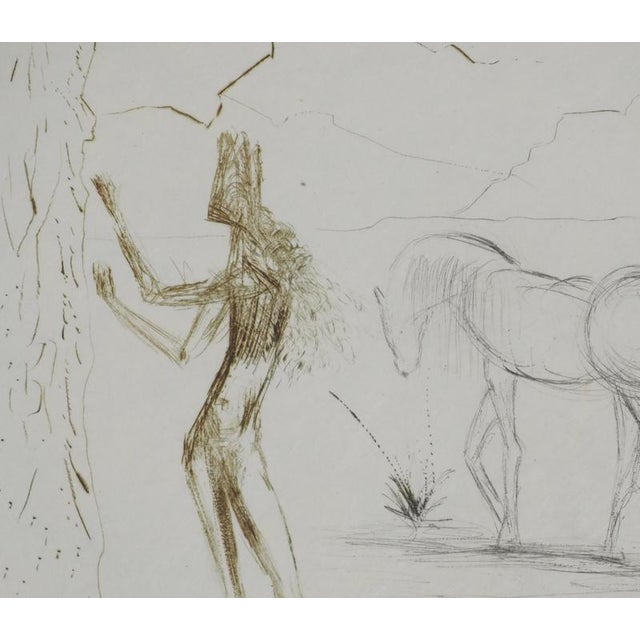 Salvador Dali, Nude, Under the Umbrella Pine, 1970, Engraving For Sale - Image 6 of 7