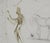 Salvador Dali, Nude, Under the Umbrella Pine, 1970, Engraving For Sale - Image 6 of 7