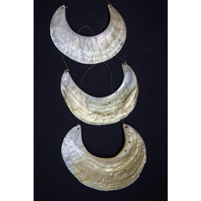 Shell Antique Ethnic Tribal Kina Crescent Shell Necklaces Papua New Guinea Set of 3 For Sale - Image 7 of 12