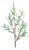 Olive Leaf Twig Branch (Set of 2) For Sale