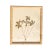 Antique Herbarium Botanicals, 1897 — Set of 10 For Sale - Image 10 of 17
