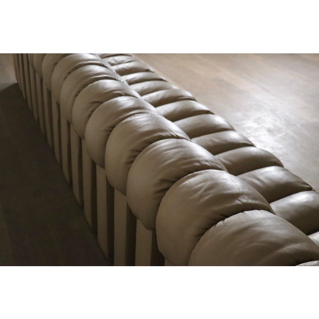 Animal Skin DS 600 Modular Sofa in Leather by Heinz Ulrich, Ueli Berger and Eleanora Peduzzi-Riva for de Sede, 1970s, Set of 22 For Sale - Image 7 of 12