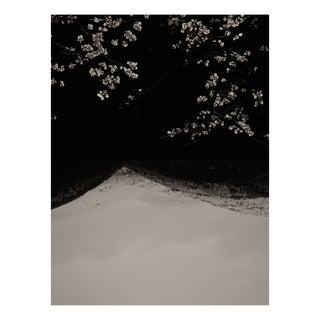 Jaume Llorens Bach, Gaia Diptych #129, Monochrome Photographic Print For Sale