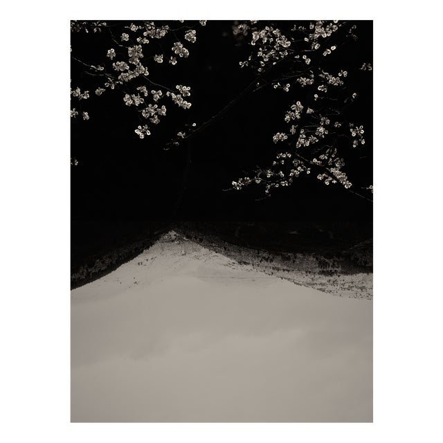 Jaume Llorens Bach, Gaia Diptych #129, Monochrome Photographic Print For Sale