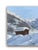 Clément Castelli, Snowy Landscape, 1890s, Oil Painting on Canvas, Framed For Sale - Image 7 of 15