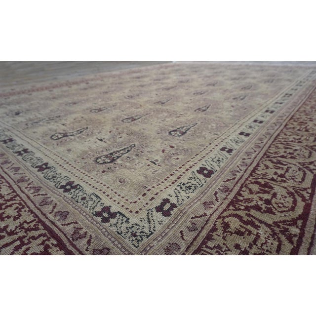 Indian 1900s Beige Paisley Floral Room Size Antique Knotted Wool Indian Agra Carpet Rug For Sale - Image 3 of 10