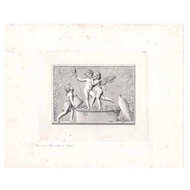 18th century engraving of Cupid and Bacchus stomping grapes for wine., Copper plate engraving circa 1750. Combined...