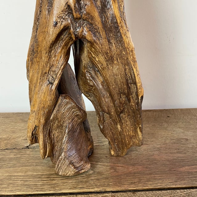 Folk Art Naïve Sculpture in Root Wood, 1800s For Sale - Image 15 of 16