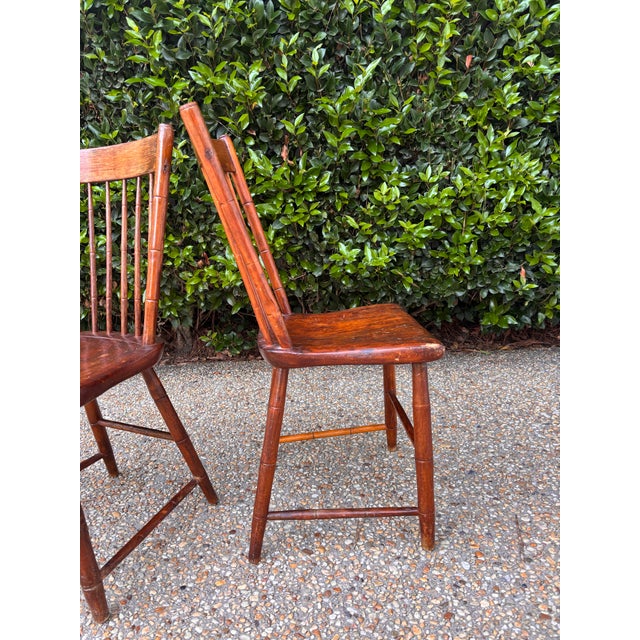 Sienna Mid 19th Century Bamboo-Turned Windsor Side Chairs With Single Board Seats, a Pair For Sale - Image 8 of 9