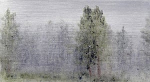 Rain in Red Feather II by Lisa Lebofsky | Oil on aluminum Landscape with trees in rain.