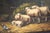 Sheep, 1920s, Oil on Board, Framed For Sale - Image 9 of 16