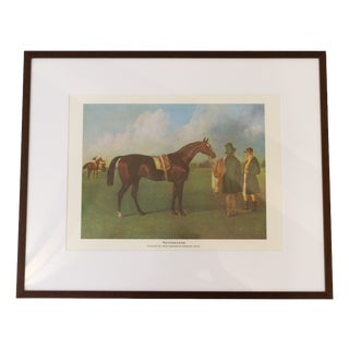 John Frederick Herring Sr, Bay Horse Touchstone, Late 20th Century, Print, Framed For Sale
