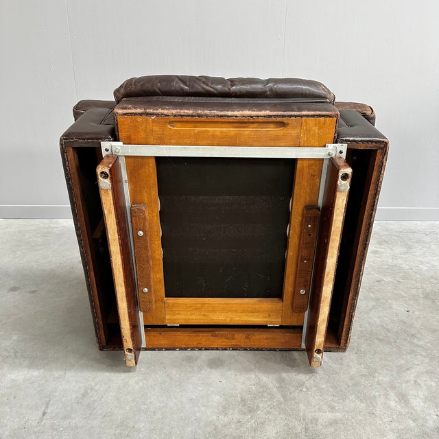 Animal Skin Vintage DS-P Chair in Leather by Robert Haussmann for de Sede, 1970s For Sale - Image 7 of 9