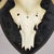 Late 19th Century Large Black Forest Antique Deer Trophy on Wooden Plaque, Germany 1900s For Sale - Image 5 of 6