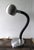 1960s Serpent Table Lamp by Martine Le Forestier for Raak, 1960s For Sale - Image 5 of 8